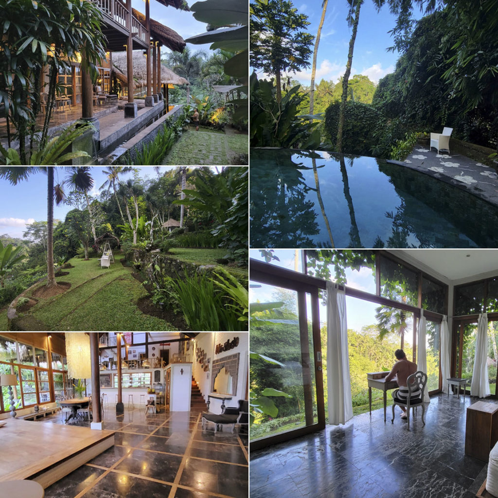 BALI-HAUS: NEW MIND, BODY AND SPIRIT: 1:1 RETREATS IN LUXURY NATURE ...