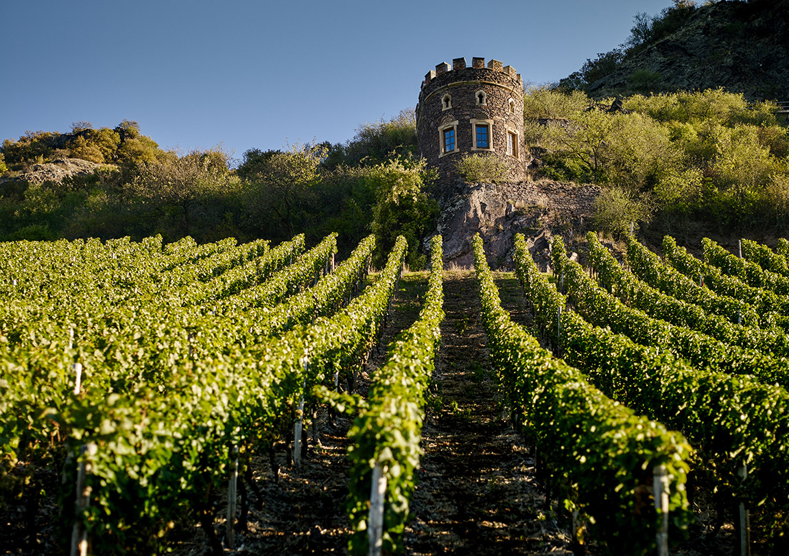 The elegance of unique wines: Winery Dönnhoff