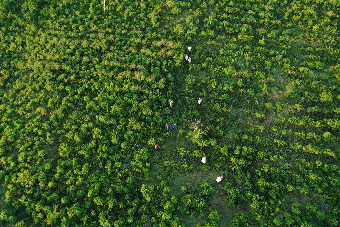 Felix Finkbeiner: “Stop talking, start planting”