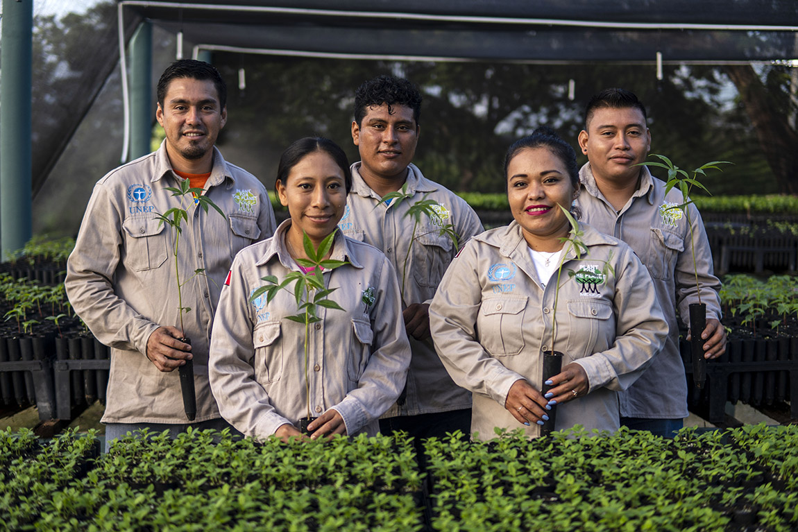 Felix Finkbeiner: “Stop talking, start planting”