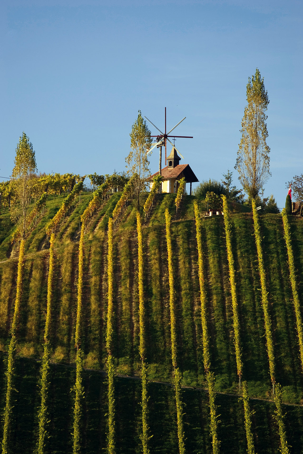 An Introduction to Austrian Wines: The Country’s Top 5 Wines to Try This Summer