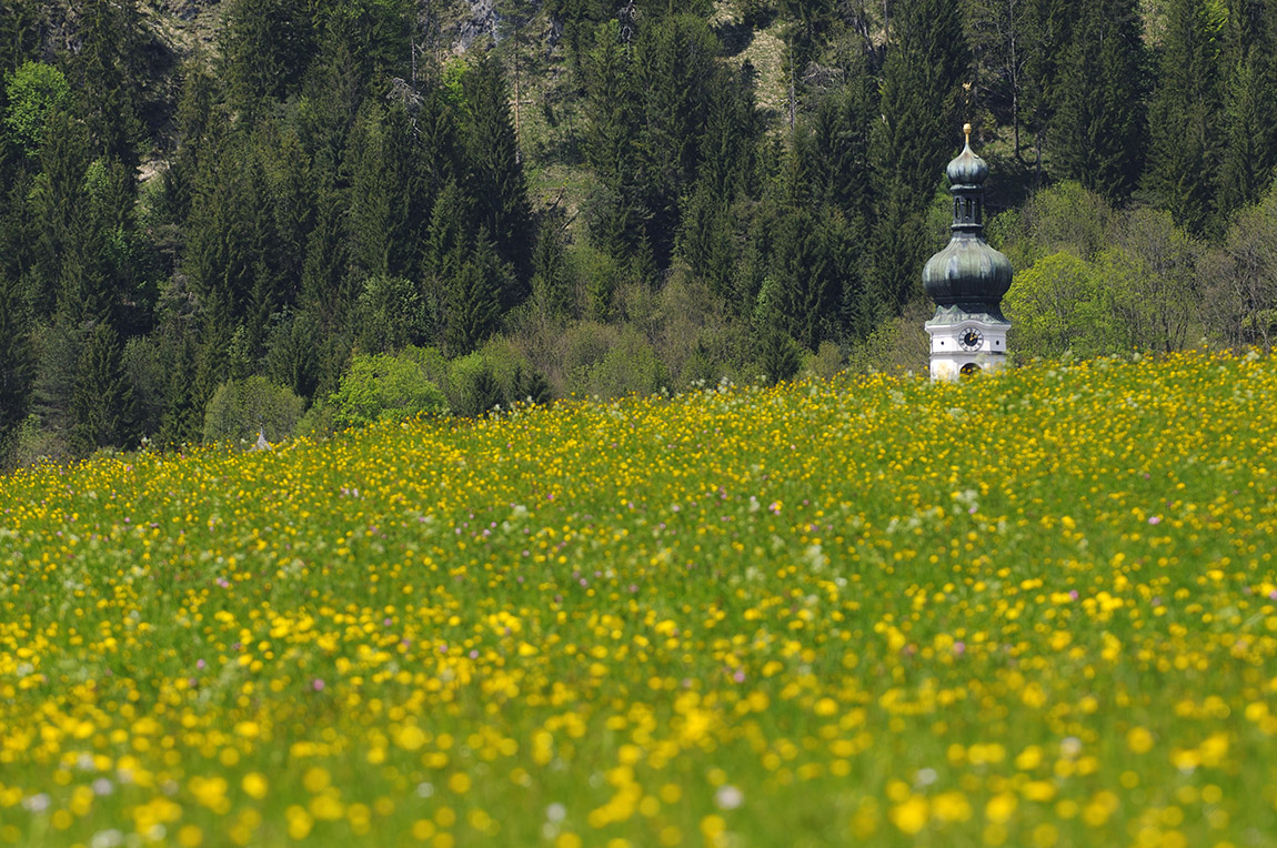 Trail running in Reit im Winkl - limitless trails in the border triangle