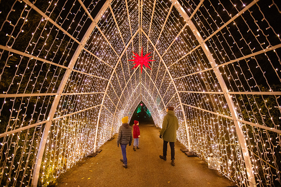 Christmas Garden Germany: A Magical Experience