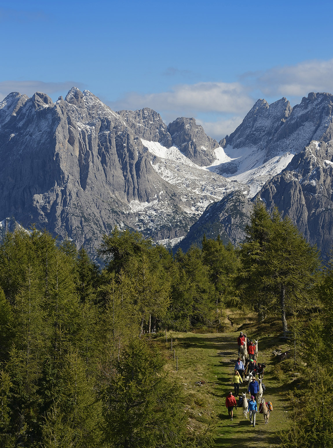 PANORAMA WITH LLAMA – Furry and beautiful trekking tours in East Tyrol