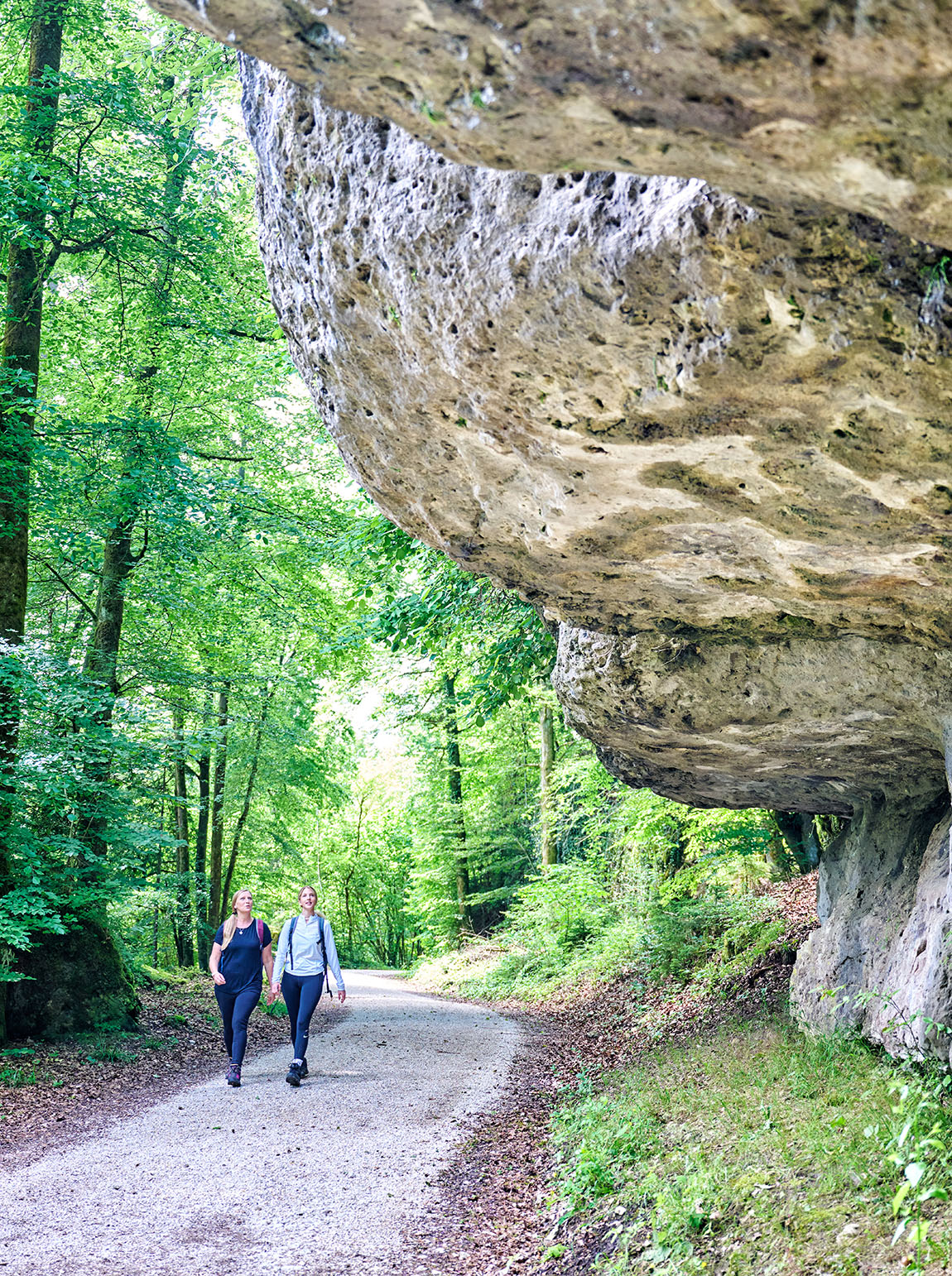 Welcome to the land of castles, caves and delights - Be active, feast and unwind in the breathtaking natural and cultural landscape of Franconian Switzerland.