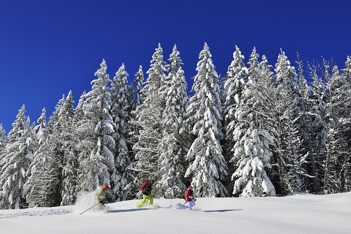 Snowshoe adventure: Dream tour in the winter wonderland