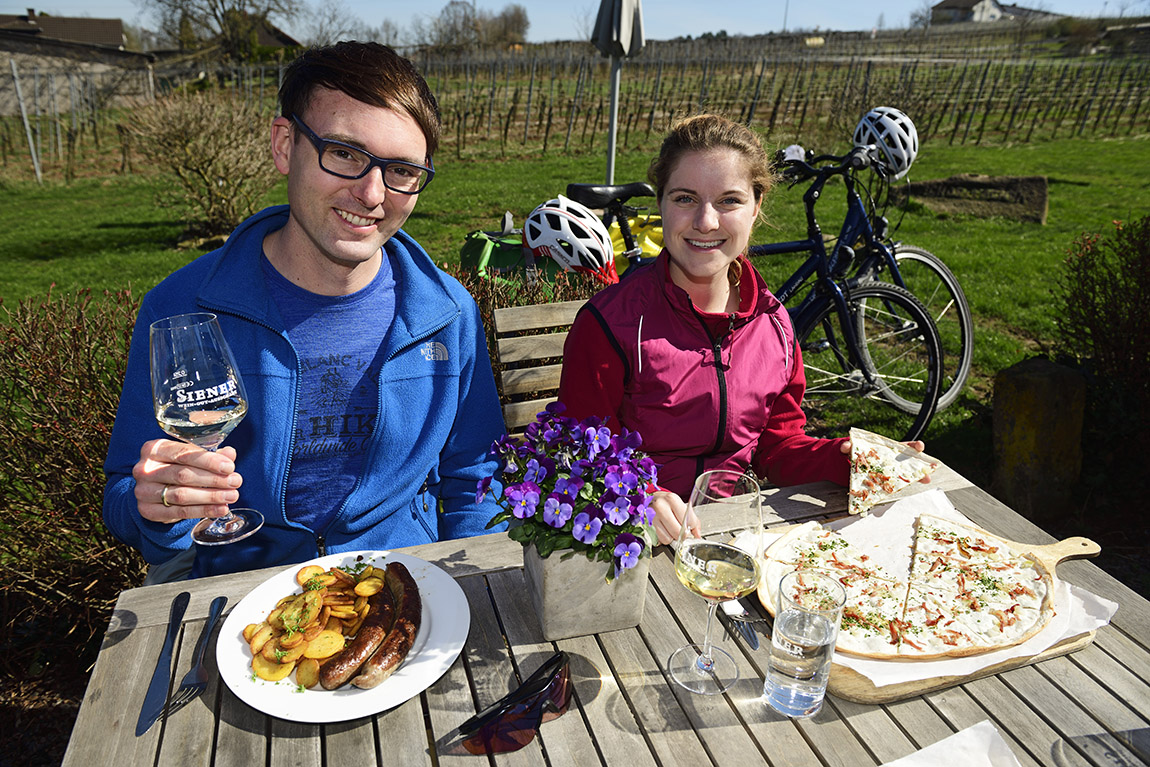 Pretty in pink – Cycle through the almond blossom in southern Palatinate